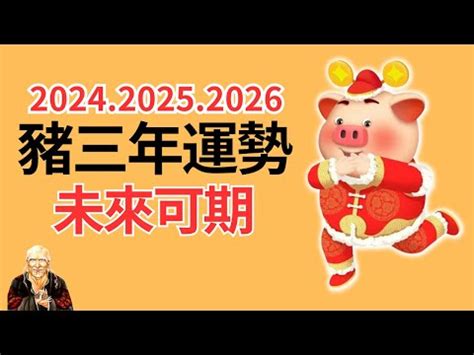 天心穴 2024年生肖豬運程